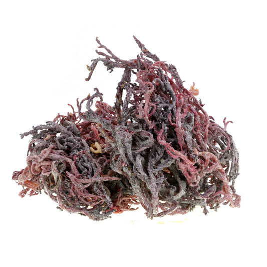 Purple Caribbean sea moss (4oz)